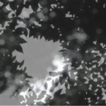 http://unifi.lightizm.com/files/gimgs/th-76_71_Nostalgia2_v2.jpg